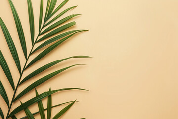 Fototapeta premium photo fresh palm leaves on beige background