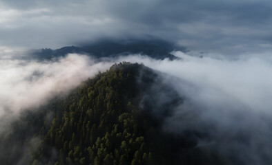 Misty Mountain Landscape with Clouds: A serene scene of fog veiling the majestic peaks, creating an...