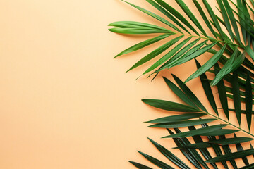 Fototapeta premium photo fresh palm leaves on beige background