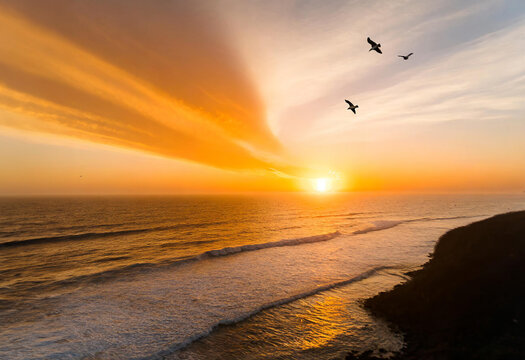 Orange sun dips below the horizon, painting the sky and sea with fiery hues as seagulls fly in silhouette