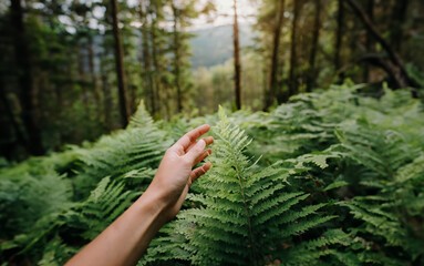 Hand in Nature's Grasp: A hand tenderly holds a leaf amidst lush forests and majestic mountains...