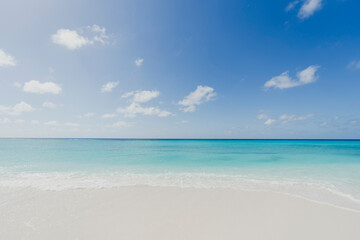 Fototapeta na wymiar Paradise beach in the Caribbean Sea