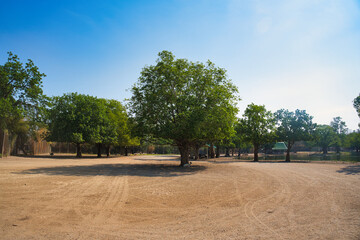 サファリパーク　カンチャナブリー・タイ　Safari Park at Kanchanaburi, Thailand