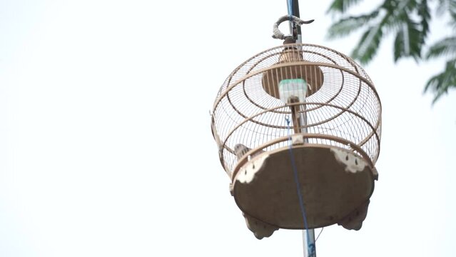 bird cage hanging on a pole. close up of bird cage hanging on pole