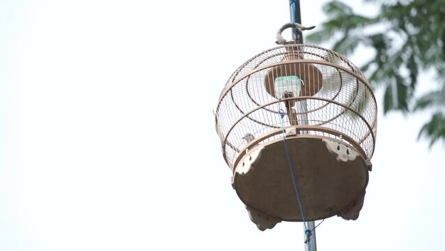close up of bird cage hanging on pole. bird cage hanging on a pole. 