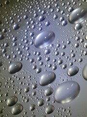 水玉