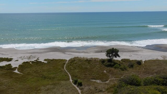 Remote beach, sand dunes and pohutukawa tree. Pikowai, Bay of Plenty, New Zealand.
