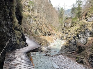 Frühlingswanderung Tirol Griesbachklamm