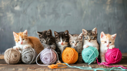 Row of cute kittens posing with colorful balls of yarn