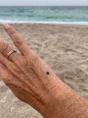 Ladybird on a woman’s finger against a background of the beach