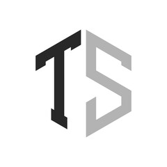 Modern Unique Hexagon Letter TS Logo Design Template. Elegant initial TS Letter Logo Concept