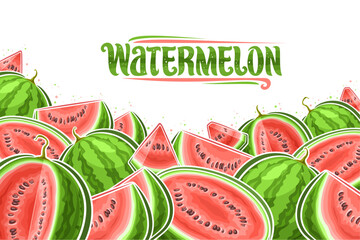 Vector illustration of Watermelons with copy space for ad text, decorative layout with chopped cartoon watermelon composition, horizontal fruit poster with green text watermelon on white background