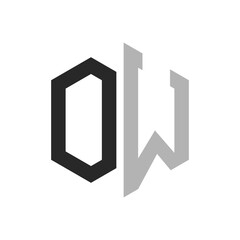 Modern Unique Hexagon Letter OW Logo Design Template. Elegant initial OW Letter Logo Concept