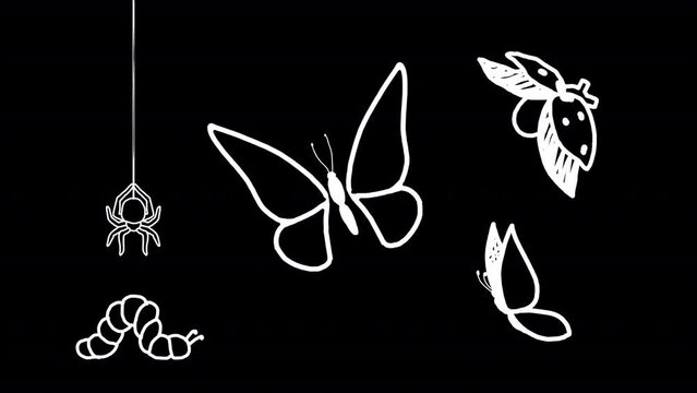 Animated butterflies, ladybird, caterpillar and spider on a transparent background. Cartoon scribble outline style. Alpha channel.