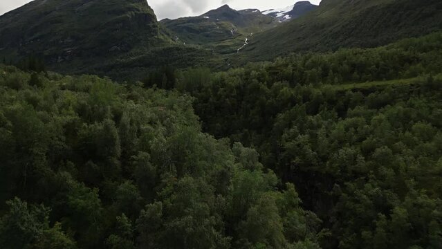 large green forest in a valley surrounded by mountains with a waterfall and snow on the peaks, norway, europe, drone