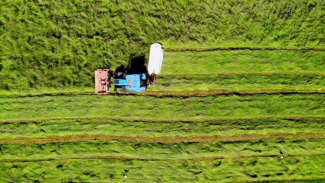 Tractor with double mower filmed during hay harvest.