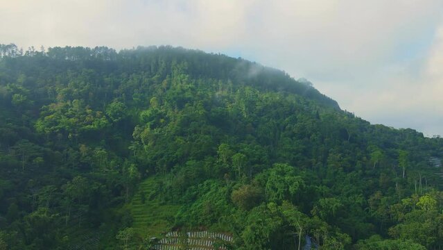 Aerial view scenery of green lush mountain forest in foggy morning. Drone fly over on rainforest.