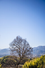 Hongcun Town, Huangshan City-Hongcun Scenery