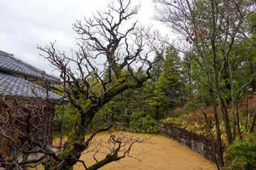 Park with plants at famous Unesco Word Heritage site Himeji-jo castle on a cloudy gray winter day. Photo taken February 1st, 2024, Himeji, Japan.