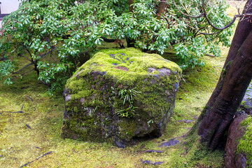 Park with rock covered with moss at famous Unesco Word Heritage site Himeji-jo castle on a cloudy gray winter day. Photo taken February 1st, 2024, Himeji, Japan.