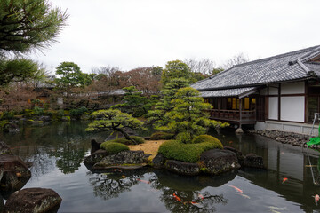 Pond with koi fishes at famous Unesco Word Heritage site Himeji-jo castle with tourists taking photo on a cloudy gray winter day. Photo taken February 1st, 2024, Himeji, Japan.