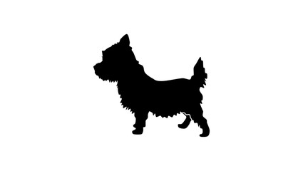 Westie dog, black isolated silhouette