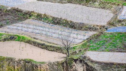 Tianshui City, Gansu Province-Northwest Terraced Fields