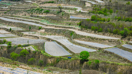Tianshui City, Gansu Province-Northwest Terraced Fields