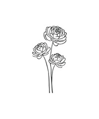 Hand drawn line art minimalist ranunculus illustration. Abstract rough flower drawing. Floral and botanical clipart. Elegant flower drawing for florist branding and wedding stationery.