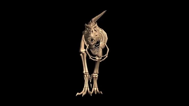 realistic animations of  skeleton dinosaur render