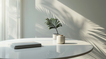 A serene image of a modern minimalist interior with plant on a table and sunlight casting soft shadows