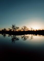 Trees reflected in a lake at sunset near Strong City, Kansas