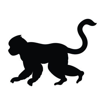 silhouette of a gibbon on white