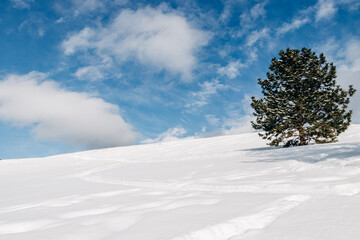 Mount Sentinel winter snowy hiking trail