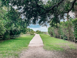 Boardwalk to beach in Charleston, SC Sullivan's island