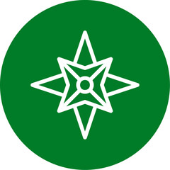 Nautical star Icon