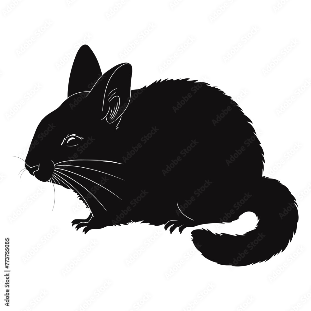 Wall mural Chinchilla Silhouette