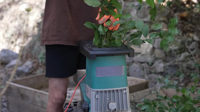 Garden shredder or wood chipper for shredding tree or shrub cuttings. Garden debris clean up and recycle