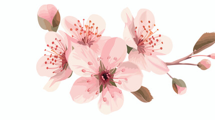 Isolated realistic flower. Spring season Vector illustration