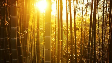Fotobehang A peaceful bamboo forest with sunlight filtering through the tall stalks AI generated illustration © Olive Studio