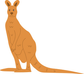 Cute Kangaroo