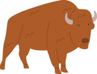 Fototapeta premium Wild Bison Herd