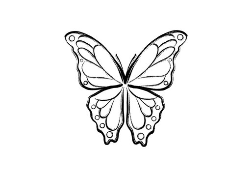 筆で描いた蝶の線画