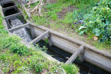 畑の横の整備された小川
