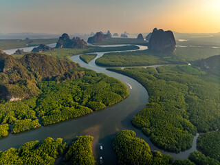 aerial view mangrove forest and mountain peak of Phang nga bay, Thailand - 773768013
