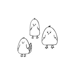 Cute three chickens for easter design. Black line doodle little birds. Hand drawn clip art illustration in doodle style for poster, banner, print, greeting card. Isolated on white background.