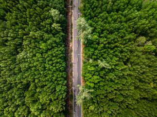 Aerial view of narrow street between woodland green forest , top birdeye's view from drone - 773768202