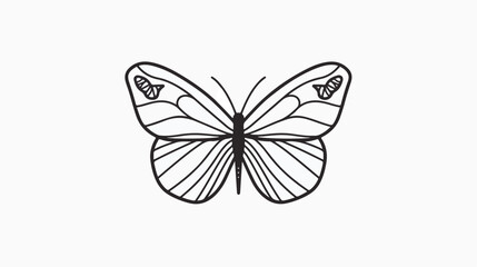 Butterfly outline icon. Butterfly logo design. Insect