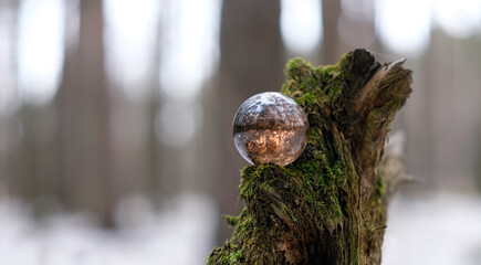 Crystal ball of rauchtopaz (smoke quartz) on tree stump in forest, abstract natural background....