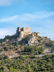 Fototapeta na wymiar Aguilar Castle, France on a clear afternoon - Portrait shot